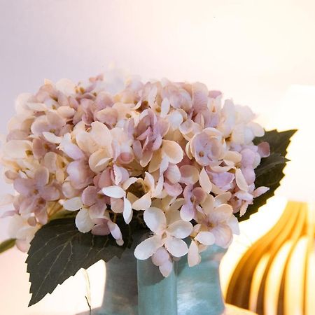Pouso Primavera 티라덴티스 외부 사진